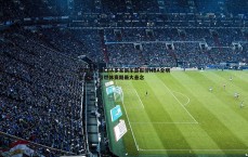 斗球体育直播-真要来？曝CBA多家俱乐部报价NBA全明星内线，引燃休赛期最大悬念