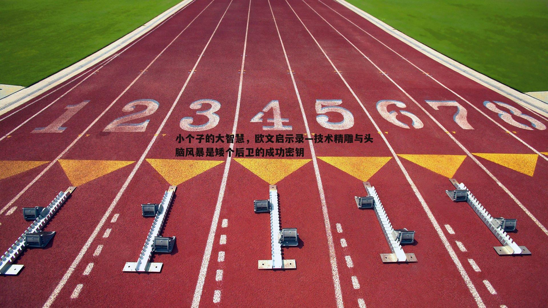 小个子的大智慧,欧文启示录—技术精雕与头脑风暴是矮个后卫的成功密钥