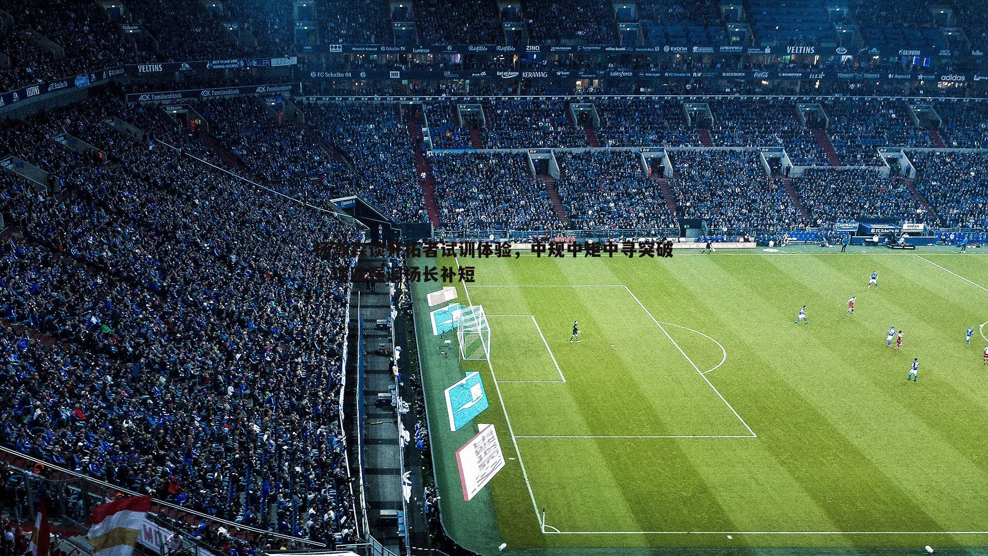 杨瀚森谈开拓者试训体验,中规中矩中寻突破,球队强调扬长补短